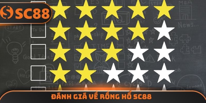 Đánh giá về rồng hổ SC88
